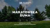 SADNJA MARATONSKE ŠUME: Obeležava se 35 godina postojanja Beogradskog maratona SADNJA MARATONSKE ŠUME: Obeležava se 35 godina postojanja Beogradskog maratona