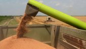 РЕКОРДНА ЖЕТВА У КИНИ: Пекинг најављује велике приносе на пољима