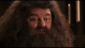 TUŽNA SUDBINA ČUVENOG GLUMCA: Pamtimo ga kao Rubijusa Hagrida, a on živi u štali, prikovan za invalidska kolica, potpuno izolovan