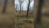 ПАНЦИР ОБОРИО РАКЕТУ: Руси пресрели украјински напад на аеродром (ВИДЕО) ПАНЦИР ОБОРИО РАКЕТУ: Руси пресрели украјински напад на аеродром (ВИДЕО)