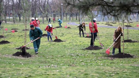 MINISTARSTVO DEMANTUJE NAVODE O MASOVNOJ SEČI STABALA: Park Ušće dobija novo drveće, uz maksimalno očuvanje postojećih stabala