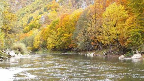 IZ LIMA IZVUČENO TELO MUŠKARCA: Pronađen mrtav Bijelopoljac (54), njegov nestanak prijavio brat IZ LIMA IZVUČENO TELO MUŠKARCA: Pronađen mrtav Bijelopoljac (54), njegov nestanak prijavio brat