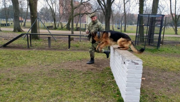 ВОЈНА ДРЕСУРА ПАСА: Обука водича и службених паса за чуварску службу ВОЈНА ДРЕСУРА ПАСА: Обука водича и службених паса за чуварску службу