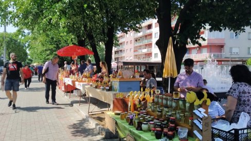 POČELO PRIJAVLJIVANJE: Sajam pčelarstva i meda u Paraćinu 16. marta POČELO PRIJAVLJIVANJE: Sajam pčelarstva i meda u Paraćinu 16. marta