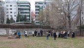 ШКОЛАРЦИ СА ВРАЧАРА САДИЛИ ДРВЕЋЕ: Дворишта пуна трешања и јабука