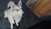 DOSTA JE SA ŠIRENJEM MRŽNJE: Osvanuo emotivan snimak o suludoj rusofobiji na zapadu (VIDEO) DOSTA JE SA ŠIRENJEM MRŽNJE: Osvanuo emotivan snimak o suludoj rusofobiji na zapadu (VIDEO)