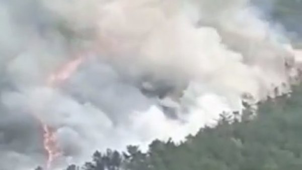МЕСТО НЕСРЕЋЕ У ПЛАМЕНУ: Језив призор после пада боинга у Кини (ВИДЕО) МЕСТО НЕСРЕЋЕ У ПЛАМЕНУ: Језив призор после пада боинга у Кини (ВИДЕО)