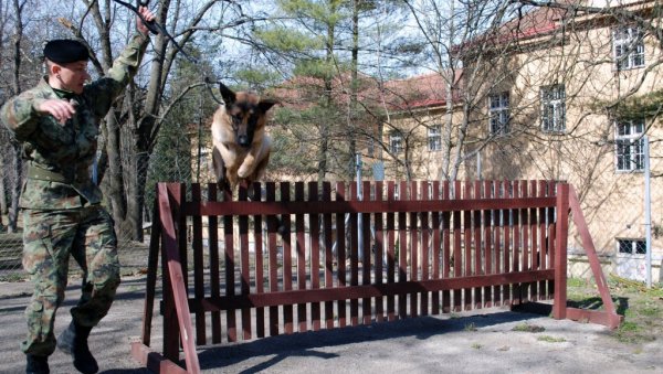 ПРОЛЕЋЕ 2022: Командно-штабна вежба батаљона војне полиције (ФОТО) ПРОЛЕЋЕ 2022: Командно-штабна вежба батаљона војне полиције (ФОТО)