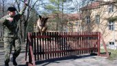 ПРОЛЕЋЕ 2022: Командно-штабна вежба батаљона војне полиције (ФОТО) ПРОЛЕЋЕ 2022: Командно-штабна вежба батаљона војне полиције (ФОТО)