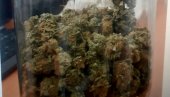 AKCIJA POLICIJE U POŽAREVCU: Zaustavljen na ulici sa teglom marihuane u rancu AKCIJA POLICIJE U POŽAREVCU: Zaustavljen na ulici sa teglom marihuane u rancu