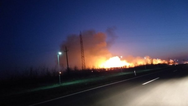ИЗГОРЕЛА ПОВРШИНА ОД 40 ХЕКТАРА: Пожар код Кикинде стављен под контролу (ФОТО) ИЗГОРЕЛА ПОВРШИНА ОД 40 ХЕКТАРА: Пожар код Кикинде стављен под контролу (ФОТО)