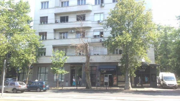 СЕЧА СУВИХ СТАБЛА: Радови Зеленила у понедељак СЕЧА СУВИХ СТАБЛА: Радови Зеленила у понедељак
