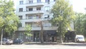 СЕЧА СУВИХ СТАБЛА: Радови Зеленила у понедељак