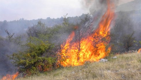 UŽAS KOD BOSILEGRADA: Muškarac palio strnjiku, meštani zatekli telo na njivi UŽAS KOD BOSILEGRADA: Muškarac palio strnjiku, meštani zatekli telo na njivi