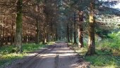 ХОМОЉЕ ЗОВЕ ТУРИСТЕ: Гостима све интересантније бројне атракције крај Петровца на Млави ХОМОЉЕ ЗОВЕ ТУРИСТЕ: Гостима све интересантније бројне атракције крај Петровца на Млави