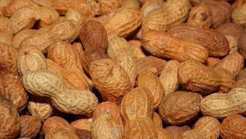 LEK PROTIV ALERGIJE NA KIKIRIKI NALAZI SE U NAMA?! Mikrobi koji mogu da je isključe otkriveni u ustima i crevima