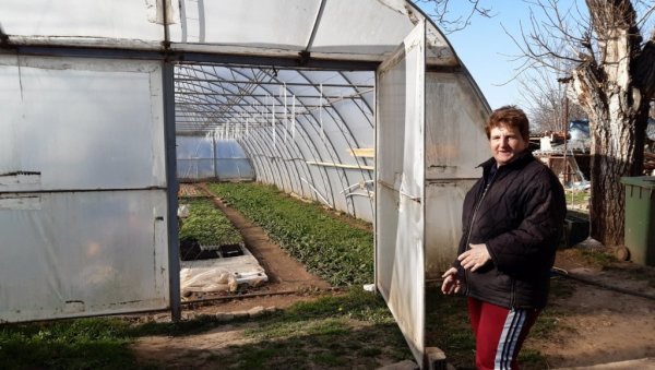 ЗА ТУРШИЈУ И ПЛАСТЕНИКЕ: Четири жене из кулске општине добиле бесповратна средства да остваре своје предузетничке идеје ЗА ТУРШИЈУ И ПЛАСТЕНИКЕ: Четири жене из кулске општине добиле бесповратна средства да остваре своје предузетничке идеје