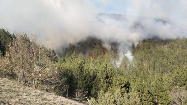 ВАТРЕНА СТИХИЈА ПОД КОНТРОЛОМ Пожар повише варошице Ушће захватио више од 20 хектара шуме ВАТРЕНА СТИХИЈА ПОД КОНТРОЛОМ Пожар повише варошице Ушће захватио више од 20 хектара шуме