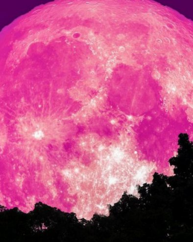 СВЕМИРИСКИ ТУРИЗАМ: Месец ускоро добија хотел