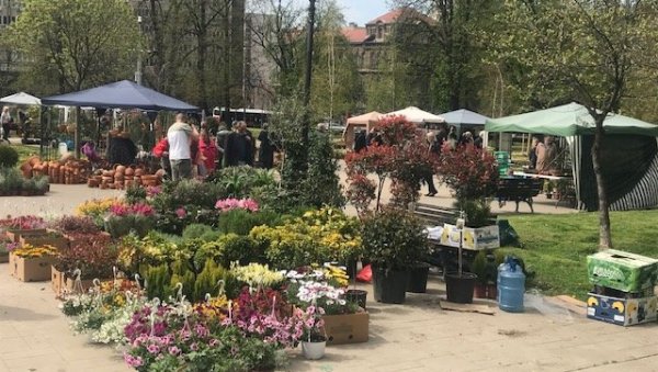 ОД ЛАВАНДЕ ДО МУШКАТЛЕ: Отворена изложба цвећа у парку Мањеж ОД ЛАВАНДЕ ДО МУШКАТЛЕ: Отворена изложба цвећа у парку Мањеж