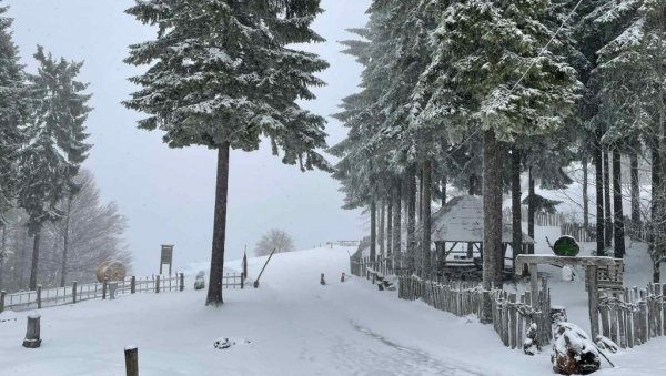 СНЕЖНА ИДИЛА У АПРИЛУ: Планина Бобија се забелела, зима заменила пролеће (ФОТО) СНЕЖНА ИДИЛА У АПРИЛУ: Планина Бобија се забелела, зима заменила пролеће (ФОТО)
