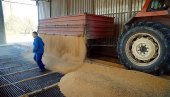 ПРОДУБЉУЈЕ СЕ КРИЗА СА ХРАНОМ, НАЈТЕЖЕ СИРОМАШНИМА: Како на глобално тржиште утиче одлука Русије да рекордно подигне извозне таксе житарица