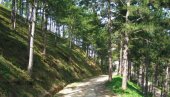 ŠETNJOM PROMOVIŠU ZDRAVE STILOVE ŽIVOTA: U Leskovcu akcija povodom Svetskog dana zdravlja ŠETNJOM PROMOVIŠU ZDRAVE STILOVE ŽIVOTA: U Leskovcu akcija povodom Svetskog dana zdravlja