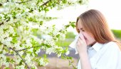 MUKE ZBOG POLENSKE ALERGIJE: Unos vitamina B ublažava tegobe - ovo su prirodni izvori MUKE ZBOG POLENSKE ALERGIJE: Unos vitamina B ublažava tegobe - ovo su prirodni izvori
