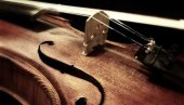 ПРОНАЂЕНА УКРАДЕНА ВИОЛИНА ВРЕДНА 100. 000 ЕВРА: Случајни пролазник је уочио поред канте за смеће - враћена власнику