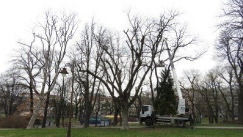 NAPADNUTI RADNICI ZELENILA I ČISTOĆE: Incidenti na Vračaru i Voždovcu, ukazana im i lekarska pomoć