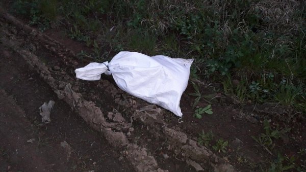 НЕЗАПАМЋЕНО ЗЛОСТАВЉАЊЕ ПСА У КИКИНДИ: Куцу везали жицом и бацили у завезаном џаку ( УЗНЕМИРИЈУЋИ ФОТО) НЕЗАПАМЋЕНО ЗЛОСТАВЉАЊЕ ПСА У КИКИНДИ: Куцу везали жицом и бацили у завезаном џаку ( УЗНЕМИРИЈУЋИ ФОТО)