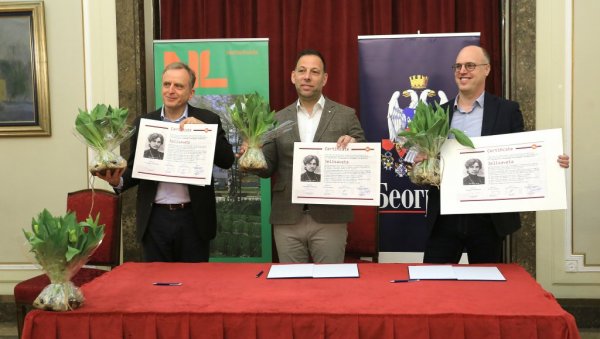 ЛАЛИ ИМЕ ПО ЈЕЛИСАВЕТИ НАЧИЋ: Београд од Холандије добио аутентичан цвет ЛАЛИ ИМЕ ПО ЈЕЛИСАВЕТИ НАЧИЋ: Београд од Холандије добио аутентичан цвет