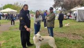 PRAZNIK KINOLOGIJE U VRANJU NAKON DVOGODIŠNJE PAUZE: Međunarodna izložba pasa svih rasa (FOTO/VIDEO)