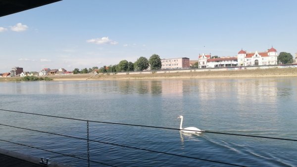 МОСТОВИ СРЕМА И МАЧВЕ: На реци Сави, између две Митровице, пролеће у пуном сјају (ФОТО)