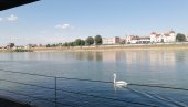 MOSTOVI SREMA I MAČVE: Na reci Savi, između dve Mitrovice, proleće u punom sjaju (FOTO)