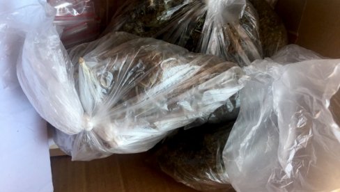 DROGU KRIO U ŠUPI NA PALILULI: Uhapšen muškarac iz Sombora DROGU KRIO U ŠUPI NA PALILULI: Uhapšen muškarac iz Sombora