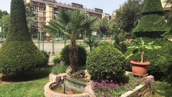 ЧУКАРИЦА БИРА НАЈЛЕПШЕ ЗЕЛЕНЕ ПОВРШИНЕ: Пријаве за познату акцију почињу у понедељак - трајаће месец дана ЧУКАРИЦА БИРА НАЈЛЕПШЕ ЗЕЛЕНЕ ПОВРШИНЕ: Пријаве за познату акцију почињу у понедељак - трајаће месец дана