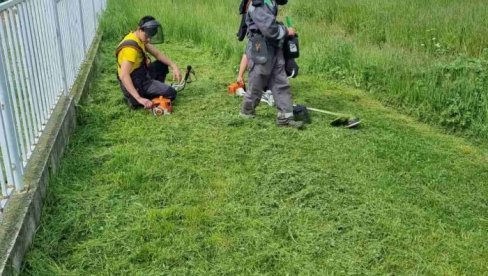 ZA MANJE KRPELJA, A VIŠE PČELA: Pilot-projekat Ne kosi još, lolo uskoro u Beogradu ZA MANJE KRPELJA, A VIŠE PČELA: Pilot-projekat Ne kosi još, lolo uskoro u Beogradu