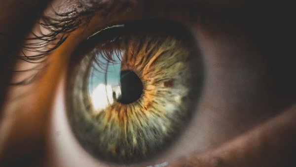 ЋЕЛИЈЕ ОКА ЖИВЕ И ПОСЛЕ СМРТИ? Необично отриће научника на телу донора органа ЋЕЛИЈЕ ОКА ЖИВЕ И ПОСЛЕ СМРТИ? Необично отриће научника на телу донора органа