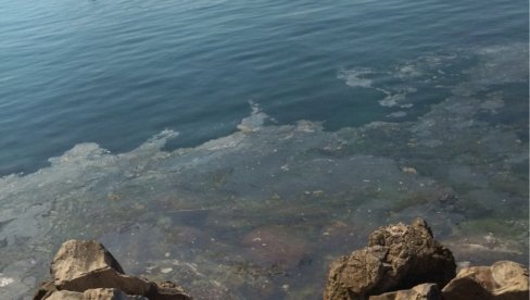 EKOLOŠKA KATASTROFA U HRVATSKOJ: U Kaštelanski zaliv i ističe mazut EKOLOŠKA KATASTROFA U HRVATSKOJ: U Kaštelanski zaliv i ističe mazut