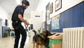 У ПЕТ ШКОЛА СТИГЛЕ ДОЈАВЕ О БОМБАМА: Огласило се Министарство просвете, сви ђаци и запослени на безбедном