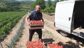 ПРОИЗВОЂАЧИМА ЈАГОДА ПРОДАЈА И ЦЕНА ЗАВИСЕ ОД НЕБА: Киша направила проблем ПРОИЗВОЂАЧИМА ЈАГОДА ПРОДАЈА И ЦЕНА ЗАВИСЕ ОД НЕБА: Киша направила проблем
