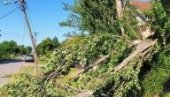 NEVREME OPUSTOŠILO SRBIJU OD RANE ZORE: Drveće iščupano iz korena, požar od udara groma se još ne smiruje (FOTO/VIDEO)