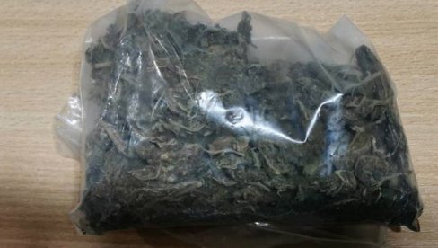 PAO SA GRAM TRAVE NA BIR FESTU: Tužilaštvo podiglo optužnicu, traži godinu i po zatvora