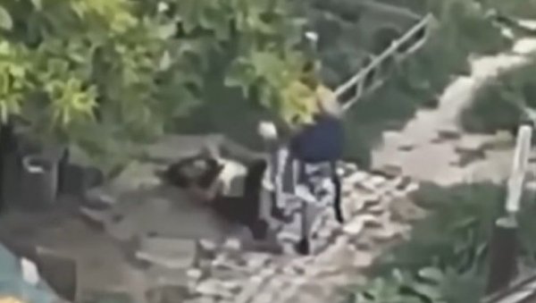 ОДРЕЂЕН МУ ПРИТВОР ДО 30 ДАНА: Приведен Новосађанин након језивог снимка у ком туче жену (ВИДЕО) ОДРЕЂЕН МУ ПРИТВОР ДО 30 ДАНА: Приведен Новосађанин након језивог снимка у ком туче жену (ВИДЕО)