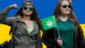 УКРАЈИНА ЛЕГАЛИЗОВАЛА МАРИХУАНУ: Само у медицинске сврхе