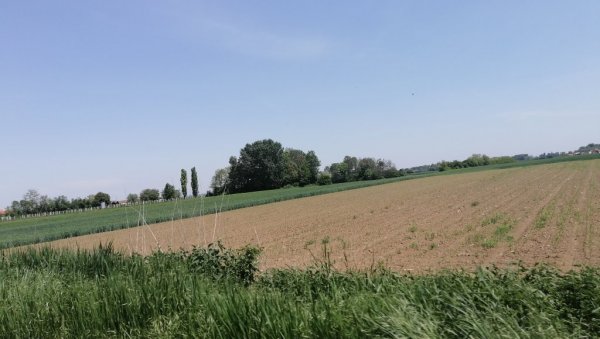 ПОМОЋ РАЗВОЈУ АГРАРА: Лозница расписала конкурс за доделу подстицаја пољопривредницима ПОМОЋ РАЗВОЈУ АГРАРА: Лозница расписала конкурс за доделу подстицаја пољопривредницима