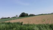 ПОМОЋ РАЗВОЈУ АГРАРА: Лозница расписала конкурс за доделу подстицаја пољопривредницима ПОМОЋ РАЗВОЈУ АГРАРА: Лозница расписала конкурс за доделу подстицаја пољопривредницима