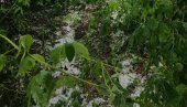 СНАЖНО НЕВРЕМЕ ПОГОДИЛО ИВАЊИЦУ: Град дотукао малињаке, у граду се излила канализација СНАЖНО НЕВРЕМЕ ПОГОДИЛО ИВАЊИЦУ: Град дотукао малињаке, у граду се излила канализација