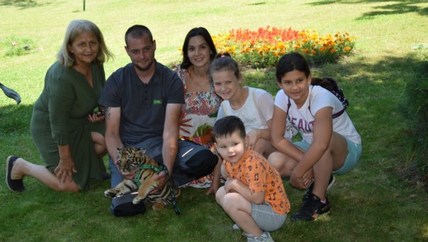 ПОТОМЦИ ЛАРЕ И ЛУКЕ ПРЕДСТАВЉЕНИ ЈАВНОСТИ: Тигрићи атракција за посетиоце јагодинског Зоо врта (ФОТО) ПОТОМЦИ ЛАРЕ И ЛУКЕ ПРЕДСТАВЉЕНИ ЈАВНОСТИ: Тигрићи атракција за посетиоце јагодинског Зоо врта (ФОТО)